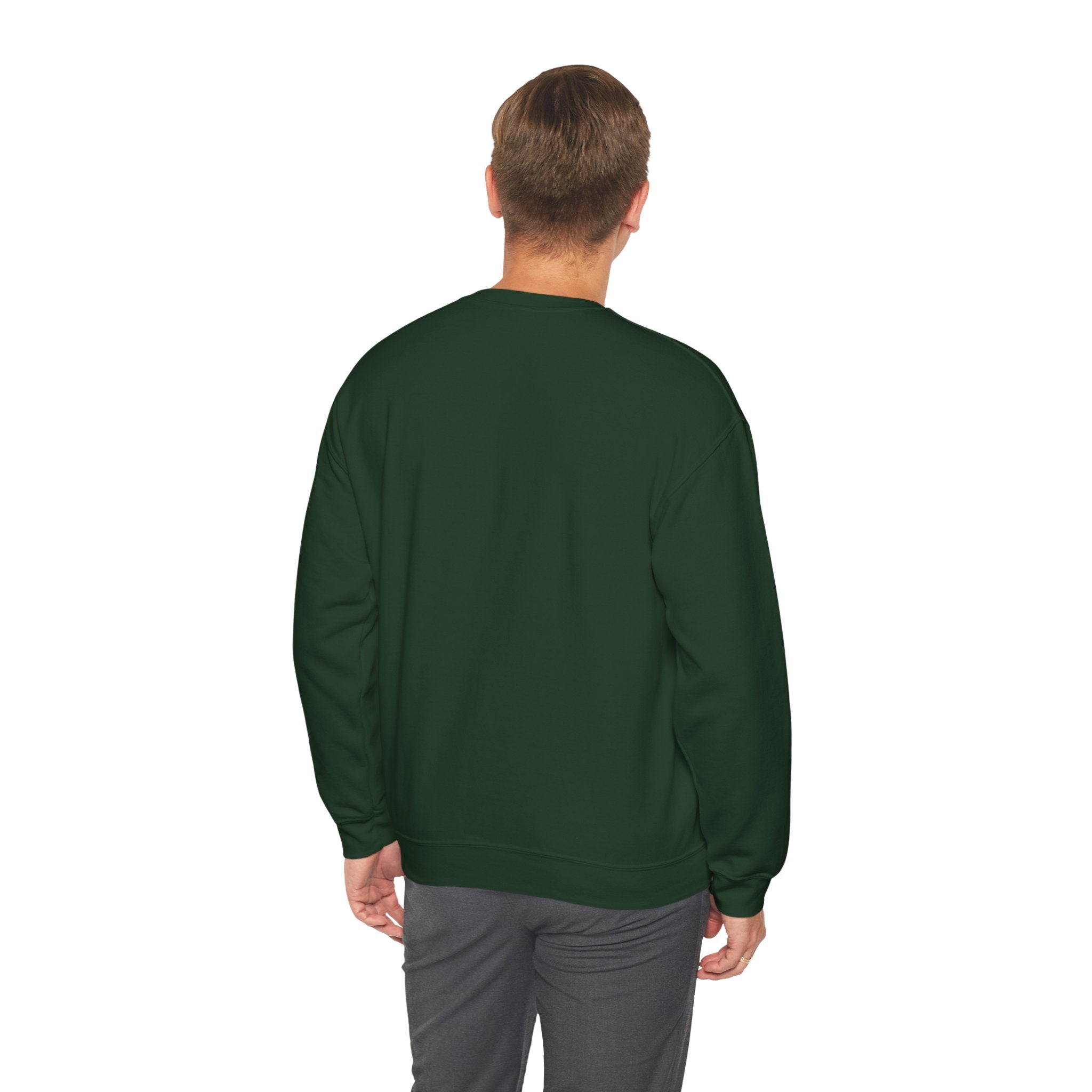 Crewneck Sweatshirt - "I Get Nervous Around Girls" Funny Graphic Pullover