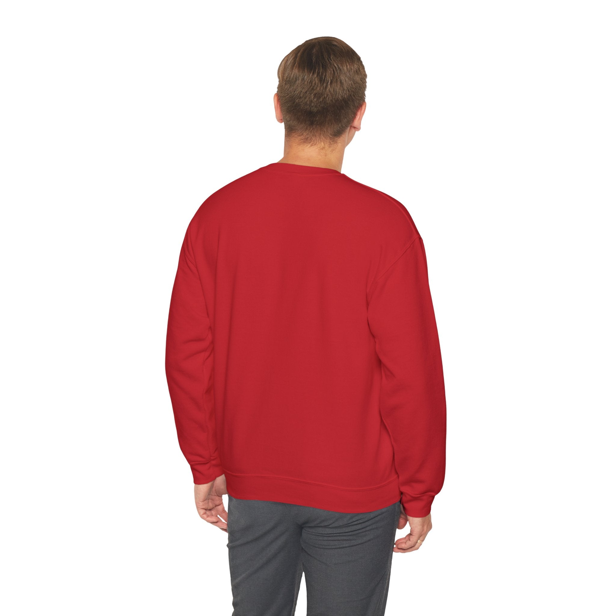 Crewneck Sweatshirt - "I Get Nervous Around Girls" Funny Graphic Pullover